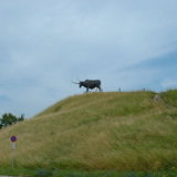 Cow statue - Rakvere