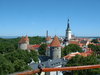 View from Kiek in de Kok tower - Tallin